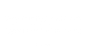Cyber Attack, Cyber Liability,