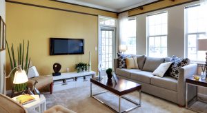 Apartment Living Room